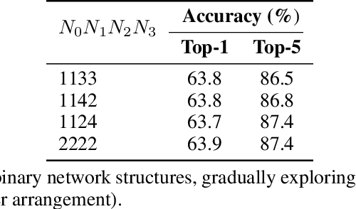 Figure 4 for High-Capacity Expert Binary Networks