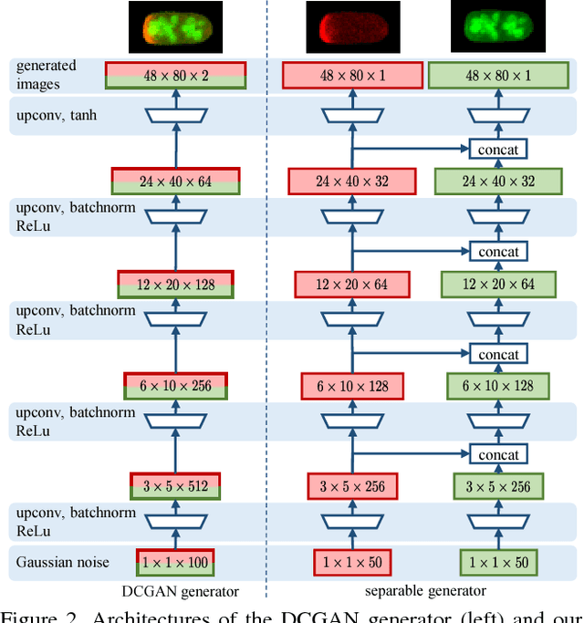 Figure 3 for GANs for Biological Image Synthesis