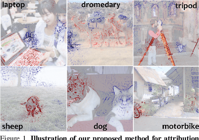 Figure 1 for Generating Attribution Maps with Disentangled Masked Backpropagation