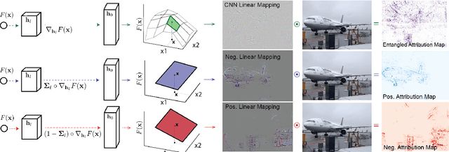 Figure 3 for Generating Attribution Maps with Disentangled Masked Backpropagation