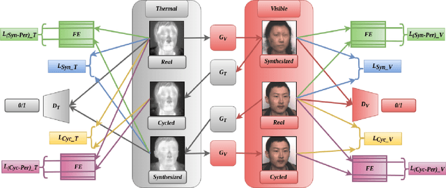 Figure 2 for PCSGAN: Perceptual Cyclic-Synthesized Generative Adversarial Networks for Thermal and NIR to Visible Image Transformation