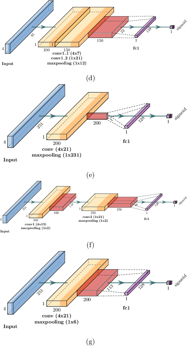 Figure 4 for CapsProm: A Capsule Network For Promoter Prediction