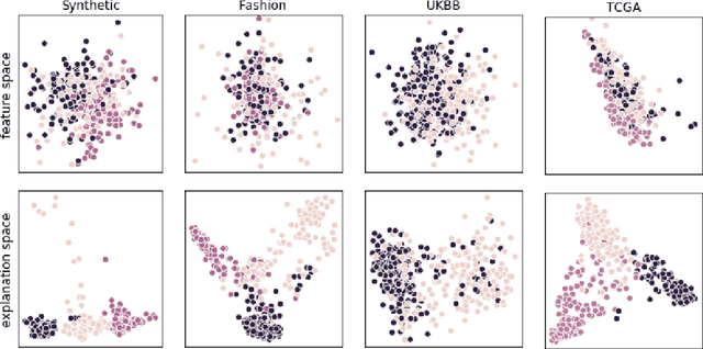 Figure 1 for Clusters in Explanation Space: Inferring disease subtypes from model explanations