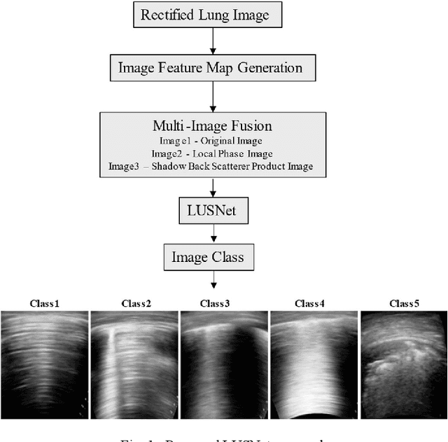 Figure 1 for An Approach Towards Physics Informed Lung Ultrasound Image Scoring Neural Network for Diagnostic Assistance in COVID-19