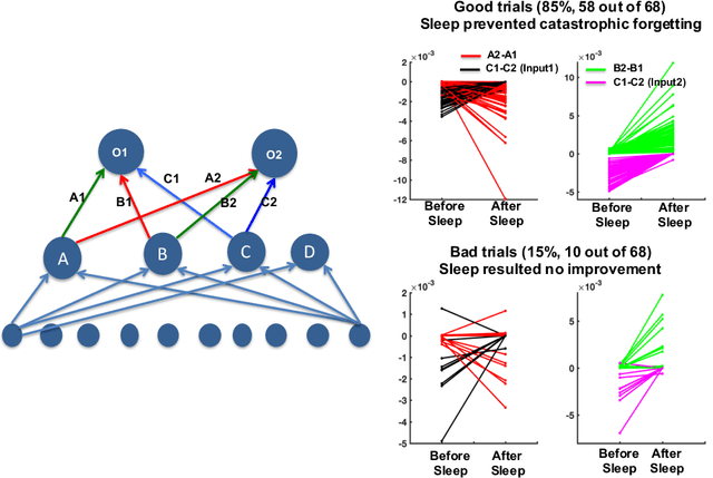 Figure 3 for Biologically inspired sleep algorithm for artificial neural networks