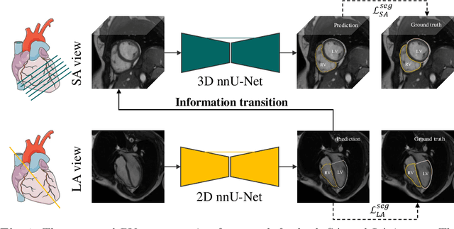 Figure 1 for Right Ventricular Segmentation from Short- and Long-Axis MRIs via Information Transition