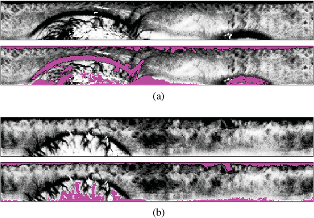 Figure 1 for Predicting Gender from Iris Texture May Be Harder Than It Seems