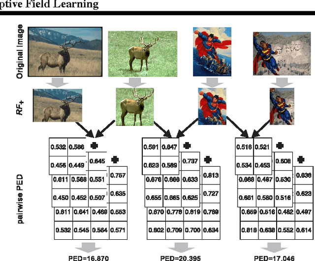 Figure 3 for Collaborative Receptive Field Learning