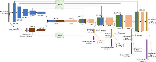 Figure 1 for A robust single-pixel particle image velocimetry based on fully convolutional networks with cross-correlation embedded