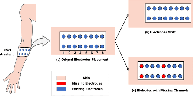 Figure 3 for Transfer learning on electromyography (EMG) tasks: approaches and beyond