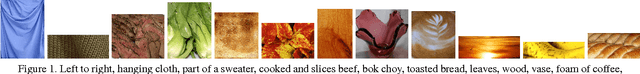 Figure 1 for Modeling Colors of Single Attribute Variations with Application to Food Appearance