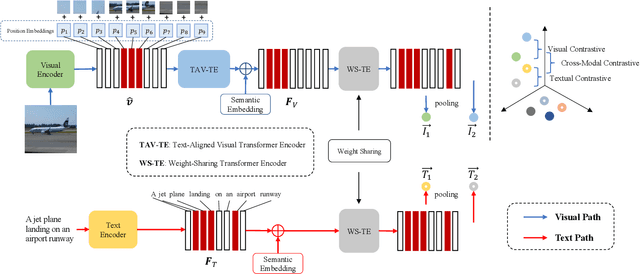 Figure 3 for Contrastive Cross-Modal Knowledge Sharing Pre-training for Vision-Language Representation Learning and Retrieval