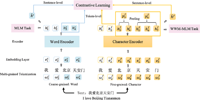 Figure 1 for CLOWER: A Pre-trained Language Model with Contrastive Learning over Word and Character Representations