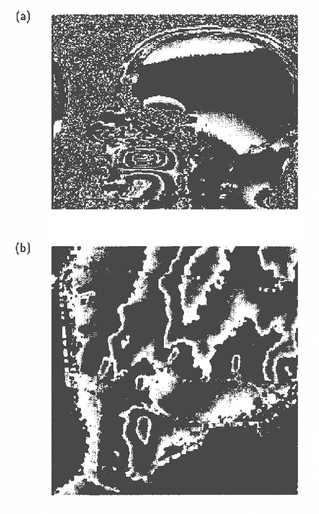 Figure 2 for A Factorized Variational Technique for Phase Unwrapping in Markov Random Fields