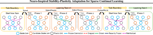 Figure 1 for NISPA: Neuro-Inspired Stability-Plasticity Adaptation for Continual Learning in Sparse Networks