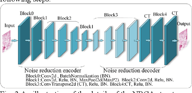 Figure 3 for Noise-reducing attention cross fusion learning transformer for histological image classification of osteosarcoma