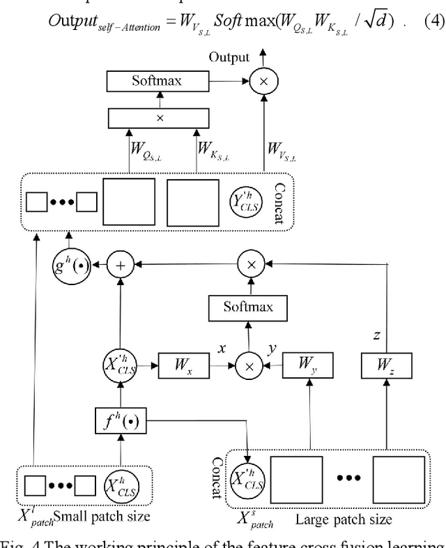 Figure 4 for Noise-reducing attention cross fusion learning transformer for histological image classification of osteosarcoma