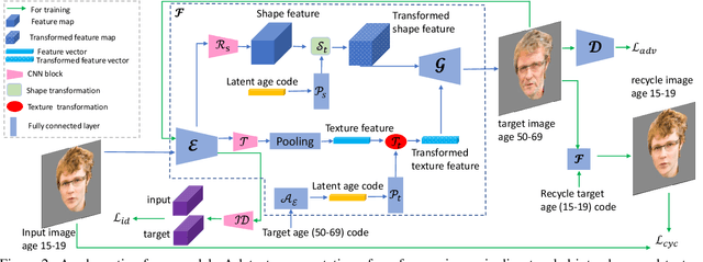 Figure 2 for Disentangled Lifespan Face Synthesis