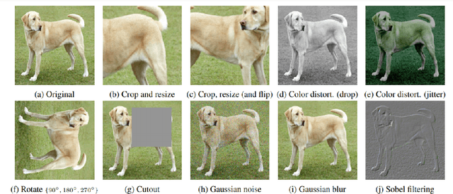 Figure 1 for Recent Advancements in Self-Supervised Paradigms for Visual Feature Representation