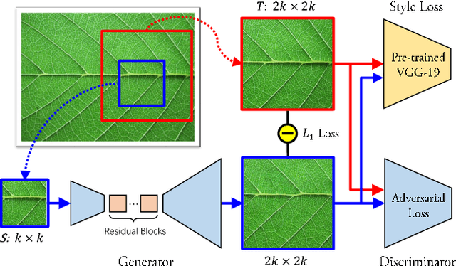 Figure 4 for Non-Stationary Texture Synthesis by Adversarial Expansion