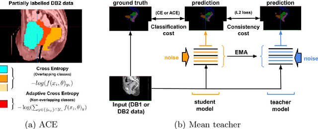 Figure 3 for Learning from Partially Overlapping Labels: Image Segmentation under Annotation Shift