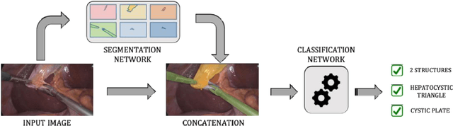 Figure 2 for Surgical data science for safe cholecystectomy: a protocol for segmentation of hepatocystic anatomy and assessment of the critical view of safety