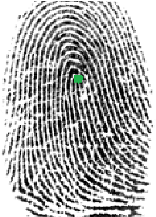 Figure 1 for Statistical Descriptors-based Automatic Fingerprint Identification: Machine Learning Approaches