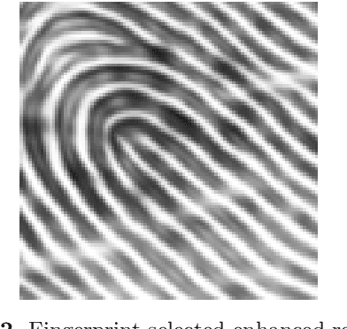 Figure 3 for Statistical Descriptors-based Automatic Fingerprint Identification: Machine Learning Approaches