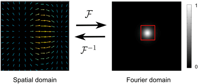 Figure 1 for DeepFLASH: An Efficient Network for Learning-based Medical Image Registration