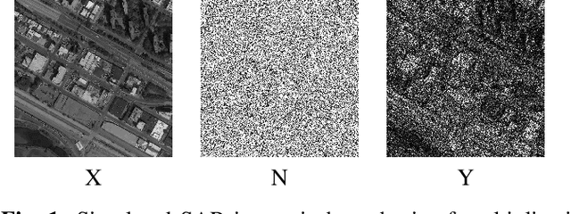 Figure 1 for A Novel Cost Function for Despeckling using Convolutional Neural Networks