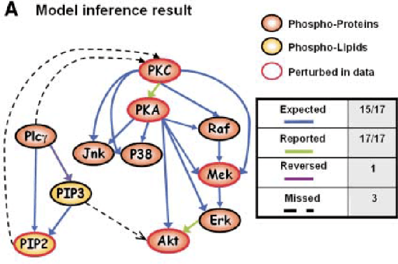 Figure 2 for FASK with Interventional Knowledge Recovers Edges from the Sachs Model