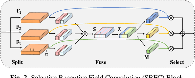 Figure 3 for SRF-Net: Selective Receptive Field Network for Anchor-Free Temporal Action Detection