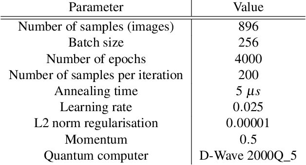 Figure 2 for Assessment of image generation by quantum annealer