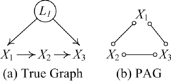 Figure 4 for FRITL: A Hybrid Method for Causal Discovery in the Presence of Latent Confounders