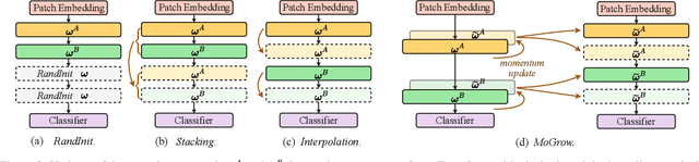 Figure 4 for Automated Progressive Learning for Efficient Training of Vision Transformers