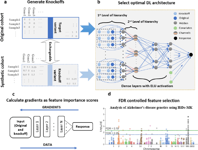 Figure 1 for Deep neural networks with controlled variable selection for the identification of putative causal genetic variants