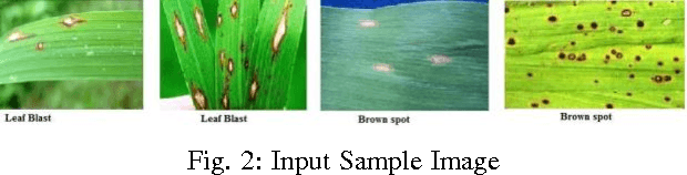 Figure 2 for Icon Based Information Retrieval and Disease Identification in Agriculture