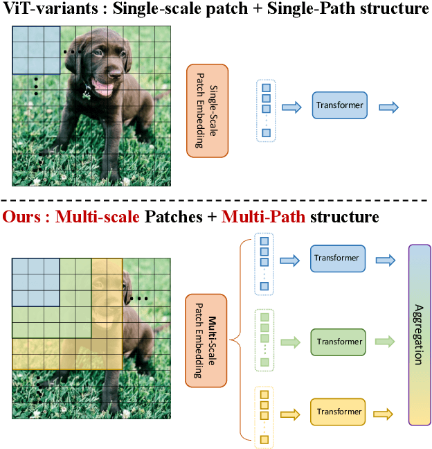 Figure 1 for MPViT: Multi-Path Vision Transformer for Dense Prediction