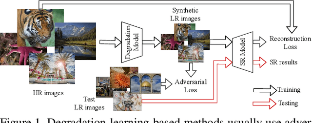 Figure 1 for Learning the Degradation Distribution for Blind Image Super-Resolution
