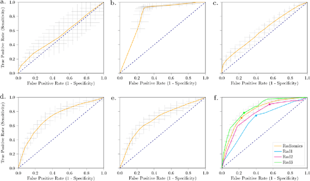 Figure 3 for Differential diagnosis and molecular stratification of gastrointestinal stromal tumors on CT images using a radiomics approach