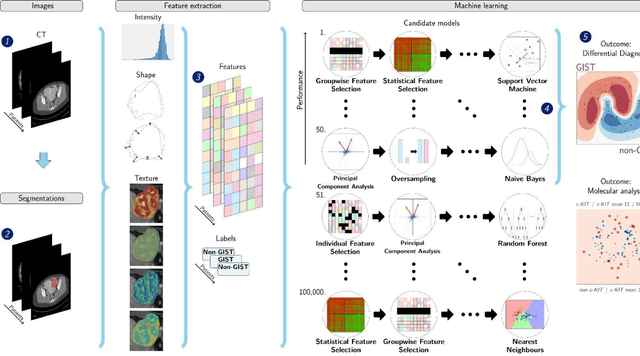 Figure 1 for Differential diagnosis and molecular stratification of gastrointestinal stromal tumors on CT images using a radiomics approach