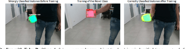 Figure 2 for Learn Fast, Segment Well: Fast Object Segmentation Learning on the iCub Robot