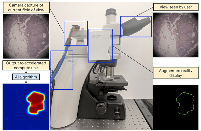 Figure 1 for Microscope 2.0: An Augmented Reality Microscope with Real-time Artificial Intelligence Integration