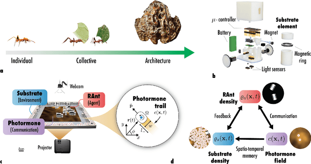 Figure 1 for Collective phototactic robotectonics