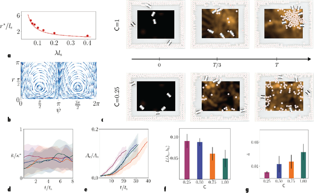 Figure 3 for Collective phototactic robotectonics