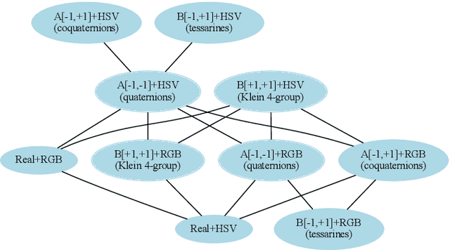 Figure 3 for Acute Lymphoblastic Leukemia Detection Using Hypercomplex-Valued Convolutional Neural Networks