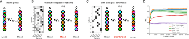 Figure 3 for Disentangling with Biological Constraints: A Theory of Functional Cell Types