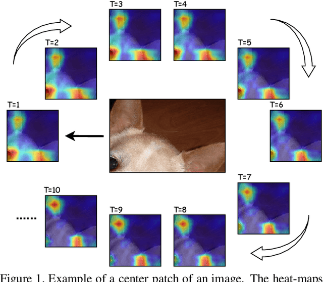 Figure 1 for Focus Longer to See Better:Recursively Refined Attention for Fine-Grained Image Classification
