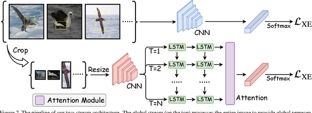 Figure 3 for Focus Longer to See Better:Recursively Refined Attention for Fine-Grained Image Classification