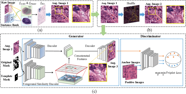 Figure 4 for InsMix: Towards Realistic Generative Data Augmentation for Nuclei Instance Segmentation